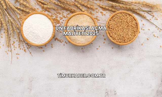 Un Fabrikası Açma Maliyeti 2025