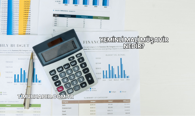 Yeminli Mali Müşavir Nedir?