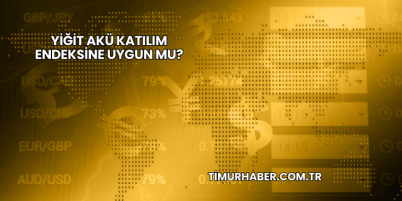 Yiğit Akü Katılım Endeksine Uygun mu?