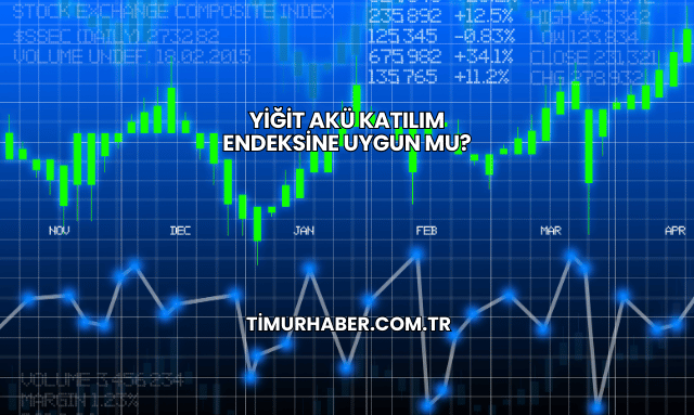 Yiğit Akü Katılım Endeksine Uygun mu?