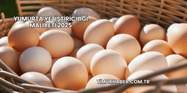 Yumurta Yetiştiriciliği Maliyeti 2025