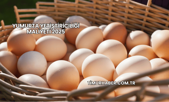 Yumurta Yetiştiriciliği Maliyeti 2025