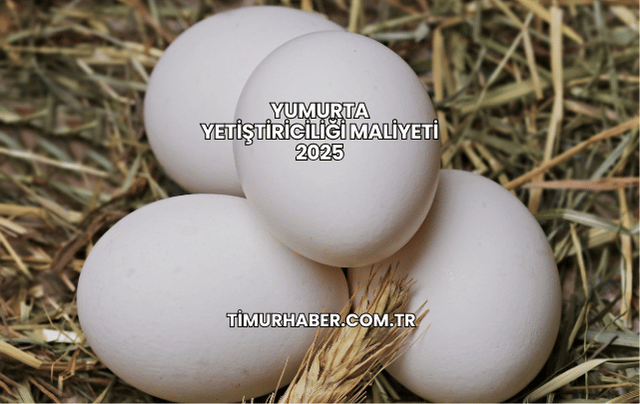 Yumurta Yetiştiriciliği Maliyeti 2025
