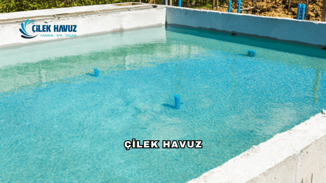 Çilek Havuz Hakkında